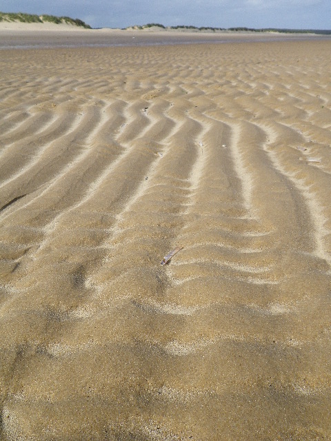 Wrinkled Sand