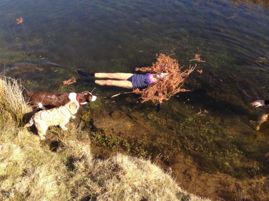 Dartmoor Ophelia with Dogs