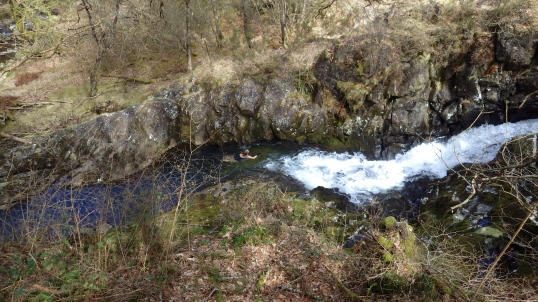 Sophie swims the gully, E Okement
